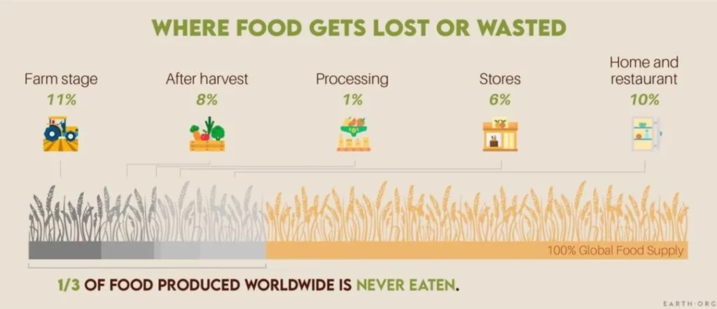 Where Food Gets Lost Or Wasted